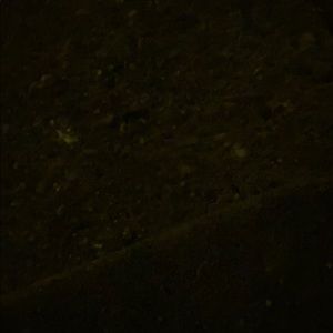 Meet your Posher, Truee